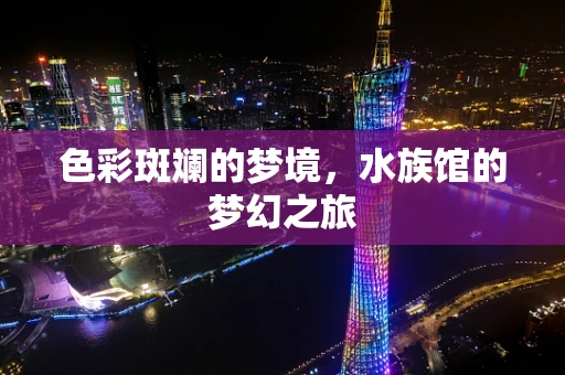 色彩斑斓的梦境，水族馆的梦幻之旅
