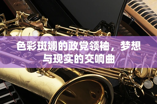 色彩斑斓的政党领袖，梦想与现实的交响曲