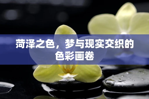 菏泽之色，梦与现实交织的色彩画卷