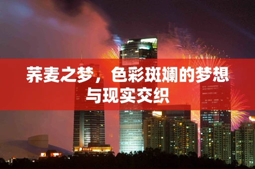 荞麦之梦，色彩斑斓的梦想与现实交织