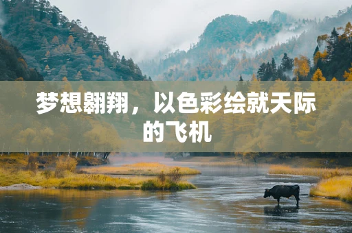 梦想翱翔，以色彩绘就天际的飞机
