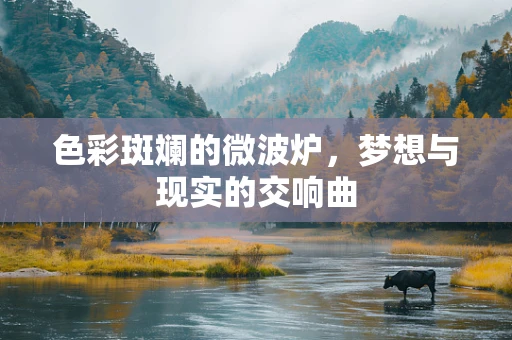 色彩斑斓的微波炉，梦想与现实的交响曲