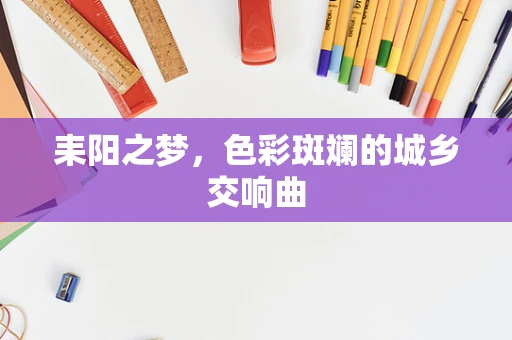 耒阳之梦，色彩斑斓的城乡交响曲