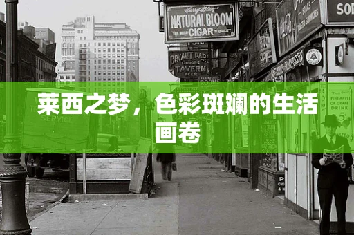 莱西之梦，色彩斑斓的生活画卷