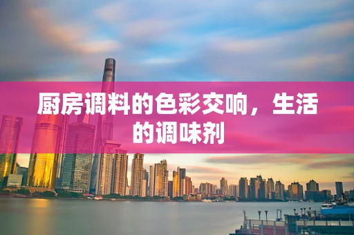 厨房调料的色彩交响，生活的调味剂