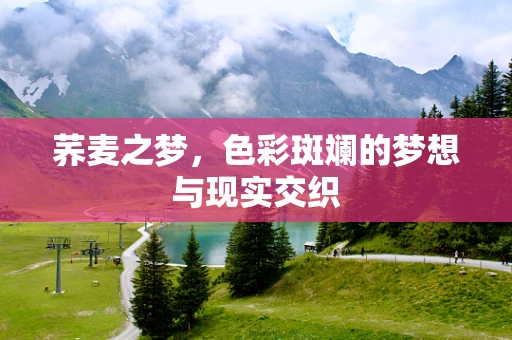 荞麦之梦，色彩斑斓的梦想与现实交织