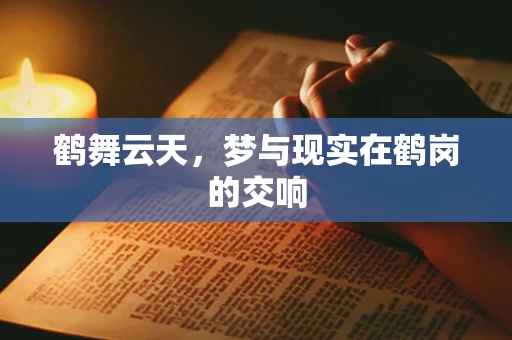 鹤舞云天，梦与现实在鹤岗的交响