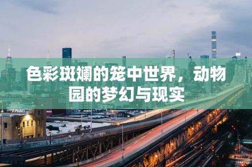 色彩斑斓的笼中世界，动物园的梦幻与现实