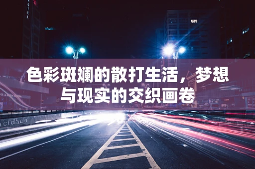 色彩斑斓的散打生活，梦想与现实的交织画卷