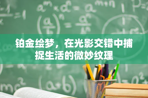 铂金绘梦，在光影交错中捕捉生活的微妙纹理