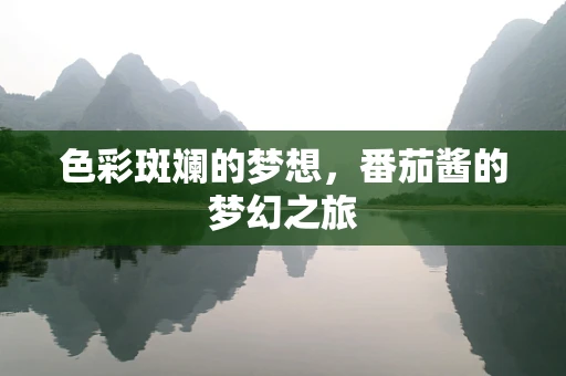 色彩斑斓的梦想，番茄酱的梦幻之旅