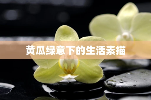 黄瓜绿意下的生活素描