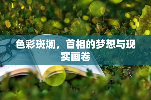 色彩斑斓，首相的梦想与现实画卷