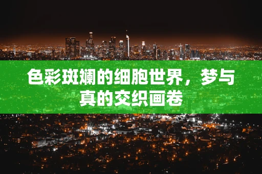 色彩斑斓的细胞世界，梦与真的交织画卷