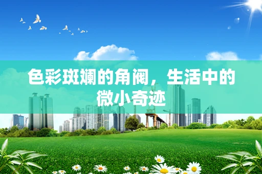 色彩斑斓的角阀，生活中的微小奇迹