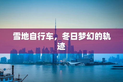 雪地自行车，冬日梦幻的轨迹