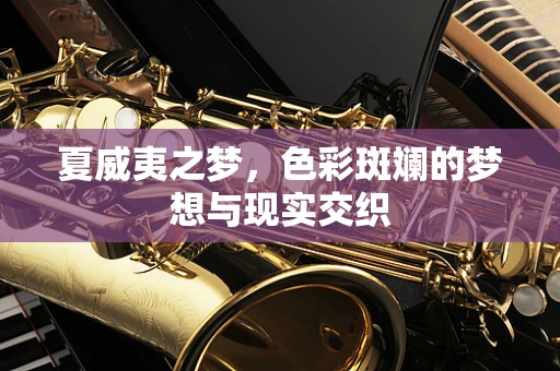 夏威夷之梦，色彩斑斓的梦想与现实交织