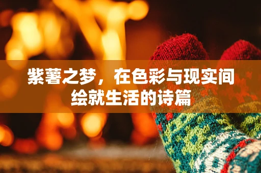 紫薯之梦，在色彩与现实间绘就生活的诗篇