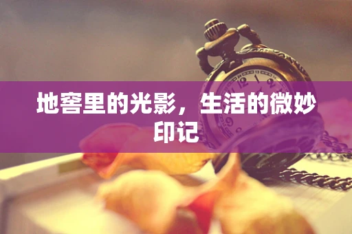 地窖里的光影，生活的微妙印记