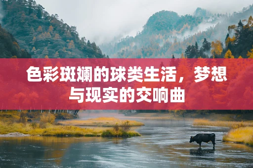 色彩斑斓的球类生活，梦想与现实的交响曲