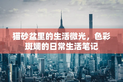 猫砂盆里的生活微光，色彩斑斓的日常生活笔记