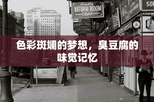 色彩斑斓的梦想，臭豆腐的味觉记忆