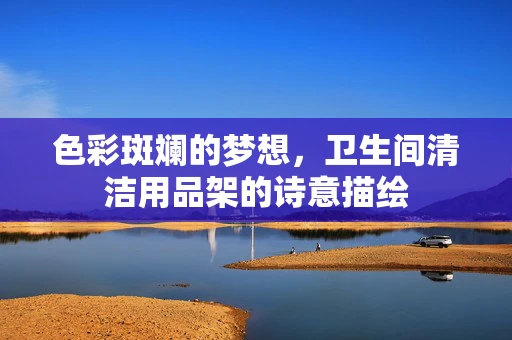 色彩斑斓的梦想，卫生间清洁用品架的诗意描绘