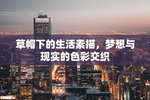 草帽下的生活素描，梦想与现实的色彩交织