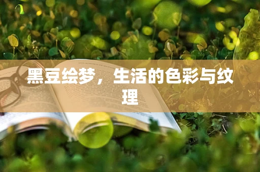 黑豆绘梦，生活的色彩与纹理