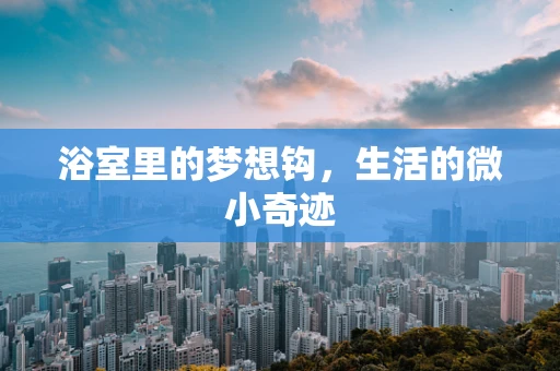 浴室里的梦想钩，生活的微小奇迹