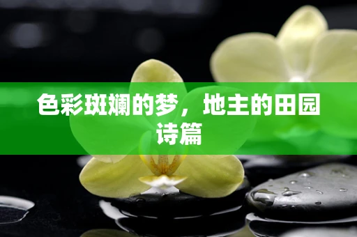 色彩斑斓的梦，地主的田园诗篇