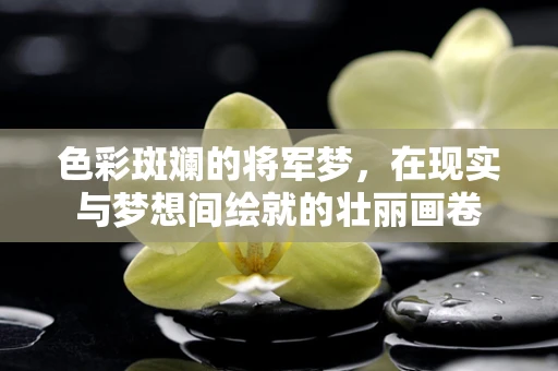 色彩斑斓的将军梦，在现实与梦想间绘就的壮丽画卷