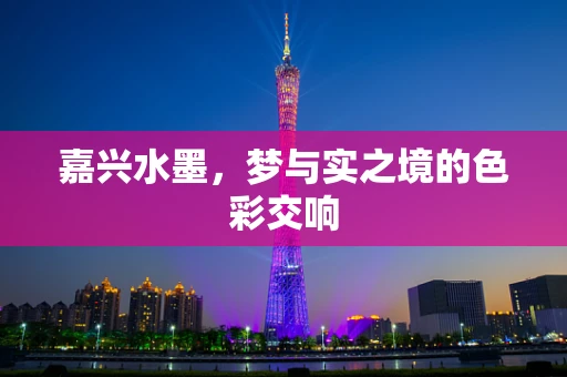 嘉兴水墨，梦与实之境的色彩交响