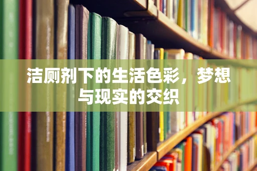 洁厕剂下的生活色彩，梦想与现实的交织