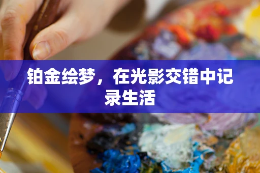 铂金绘梦，在光影交错中记录生活