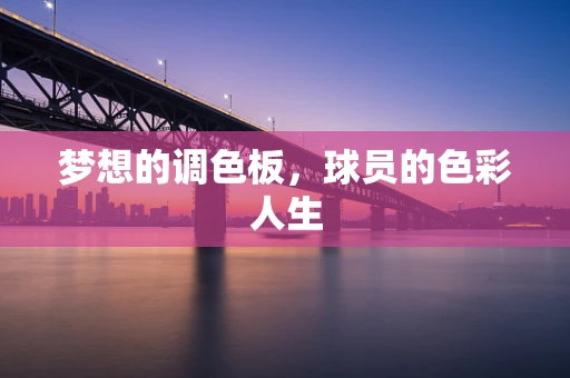 梦想的调色板，球员的色彩人生
