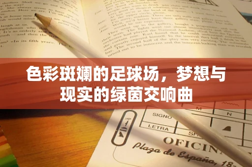 色彩斑斓的足球场，梦想与现实的绿茵交响曲