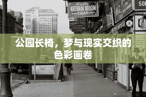 公园长椅，梦与现实交织的色彩画卷