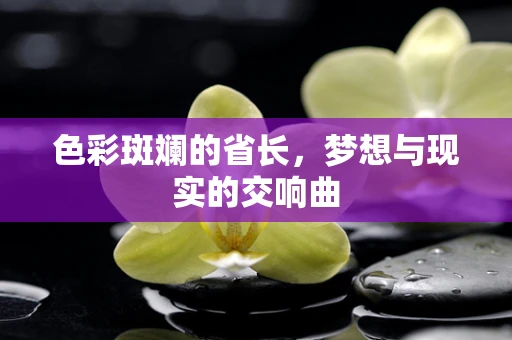 色彩斑斓的省长，梦想与现实的交响曲