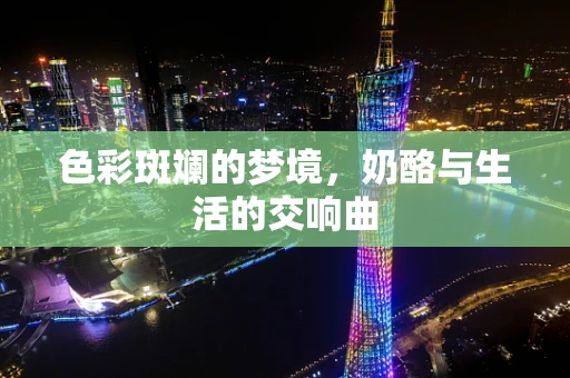 色彩斑斓的梦境，奶酪与生活的交响曲