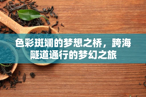 色彩斑斓的梦想之桥，跨海隧道通行的梦幻之旅
