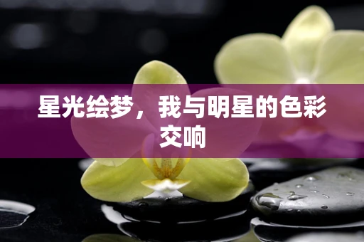 星光绘梦，我与明星的色彩交响