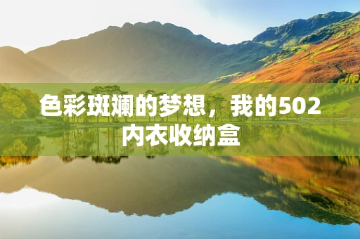 色彩斑斓的梦想，我的502内衣收纳盒