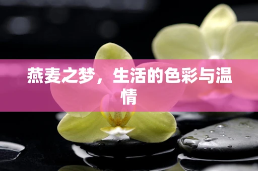 燕麦之梦，生活的色彩与温情