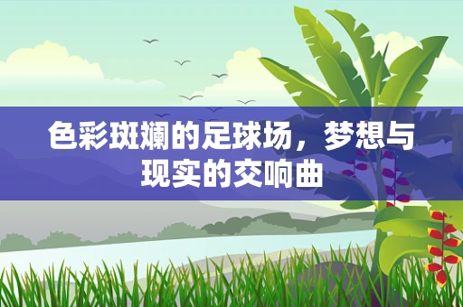 色彩斑斓的足球场，梦想与现实的交响曲