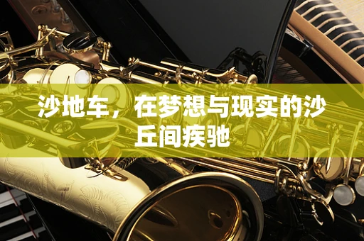 沙地车，在梦想与现实的沙丘间疾驰