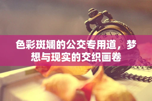 色彩斑斓的公交专用道，梦想与现实的交织画卷
