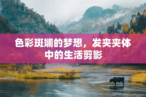 色彩斑斓的梦想，发夹夹体中的生活剪影