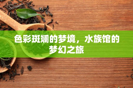 色彩斑斓的梦境，水族馆的梦幻之旅