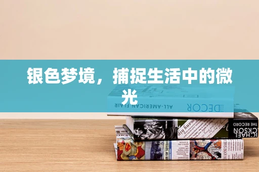 银色梦境，捕捉生活中的微光